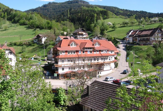 Kurparkhotel Griesbach: Appartement, 45qm, max. 3 Personen