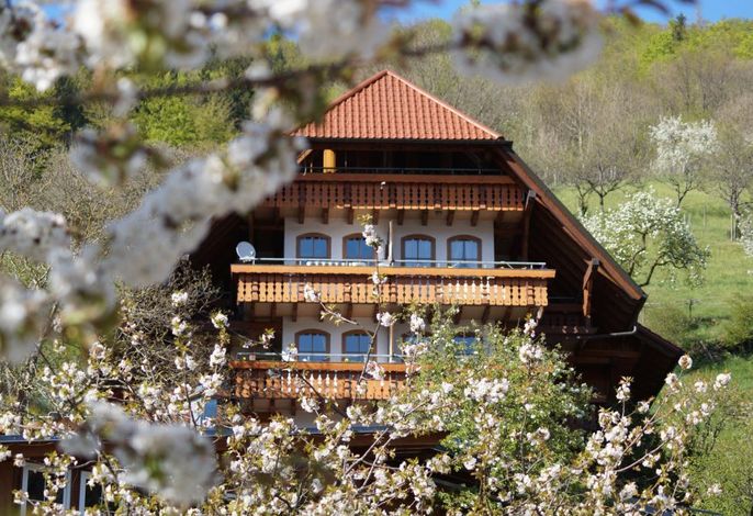 Ferienparadies Faißt