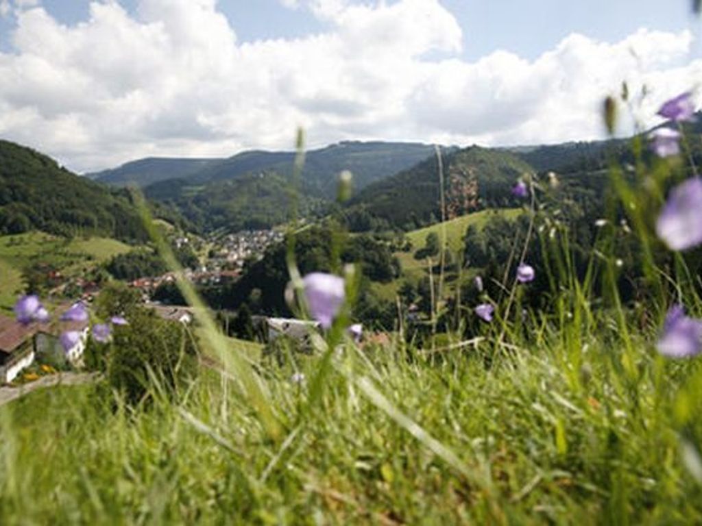Unsere schöne Landschaft
