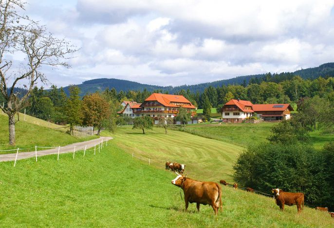 Hauptbild
