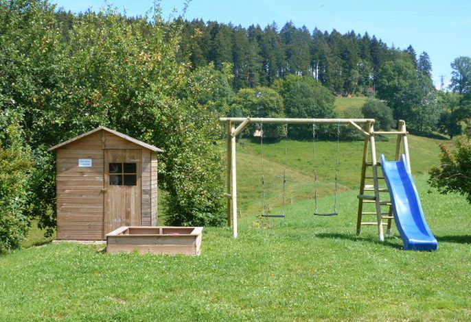 Bild 11