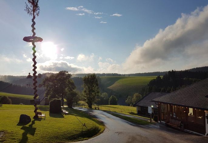 Bild 14