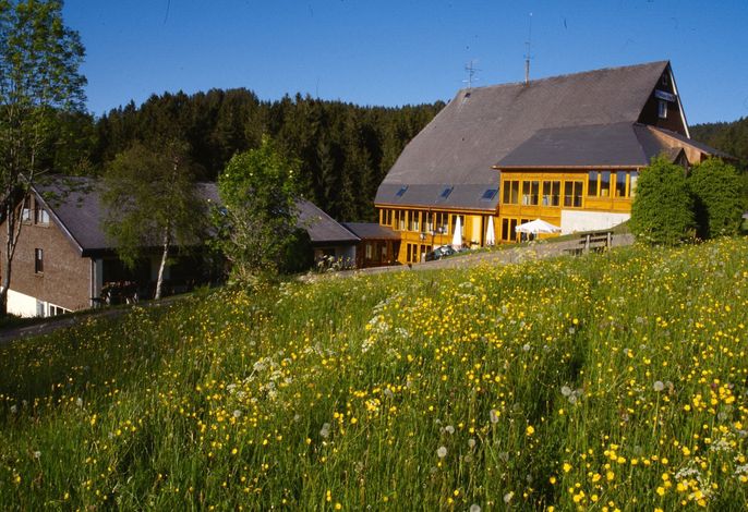 Bild 15
