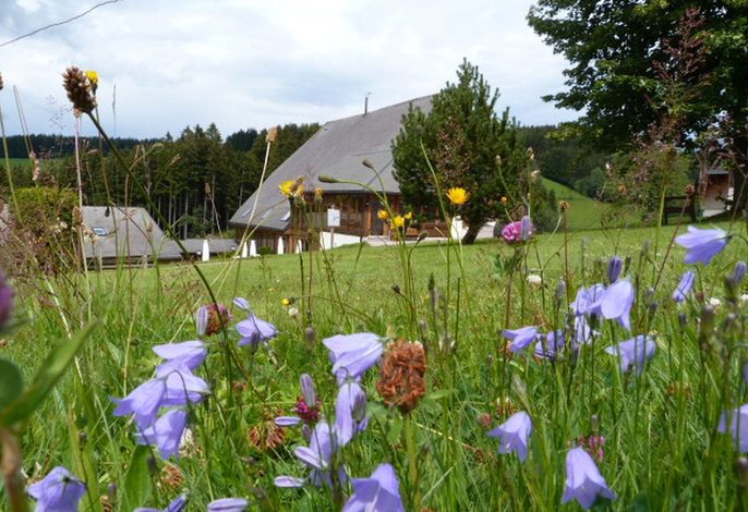 Bild 13