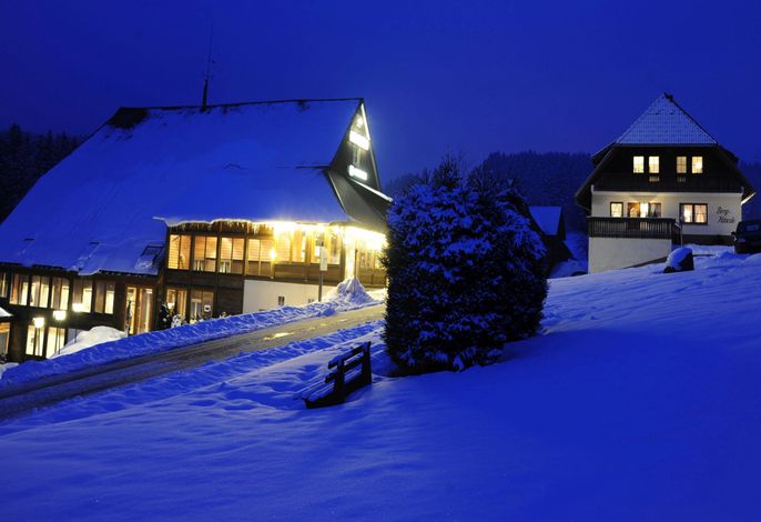 Bild 12
