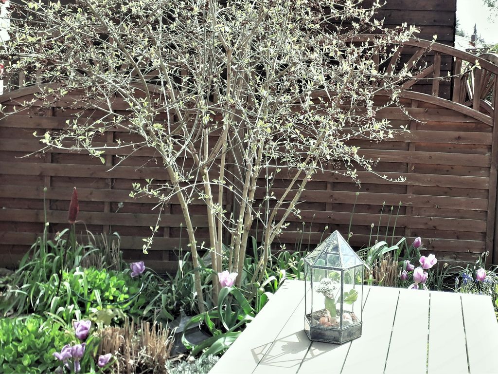 INSIDE, OUTSIDE