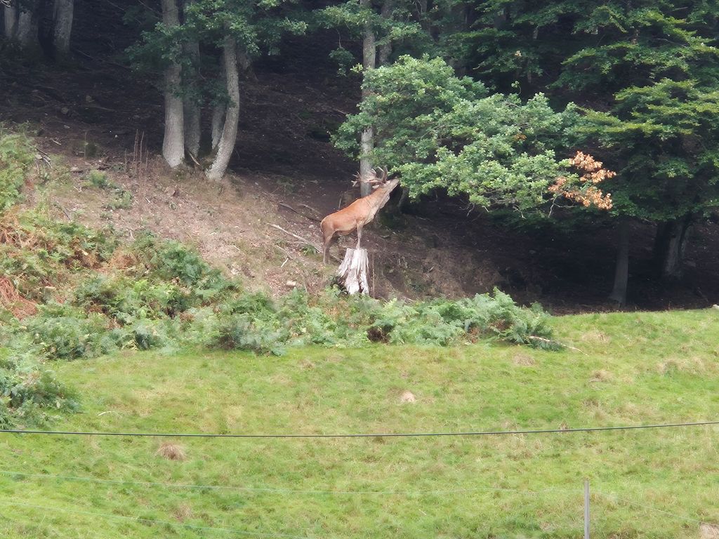 Umgebung