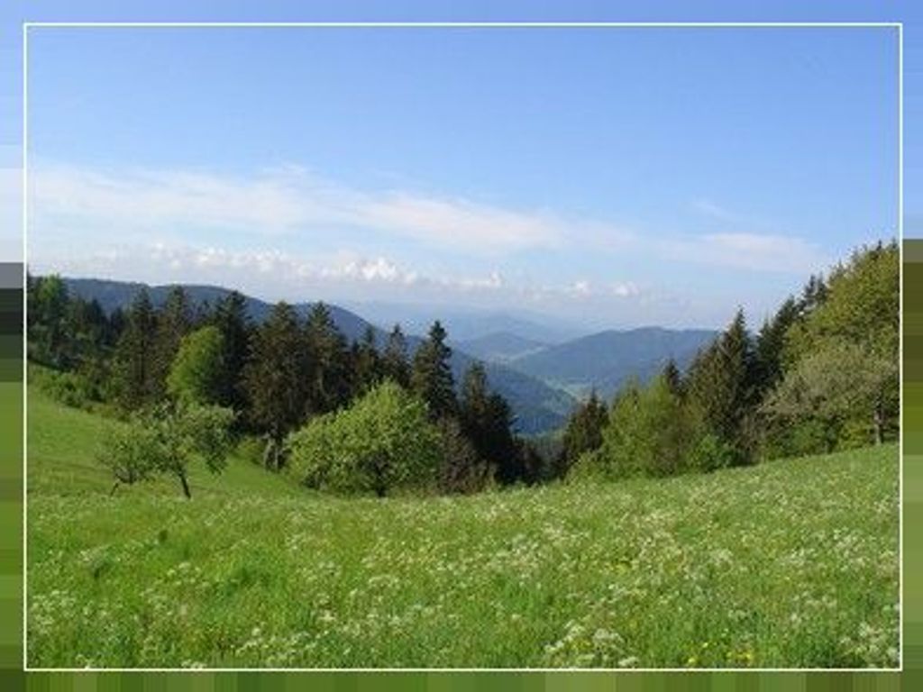 Impressionen
