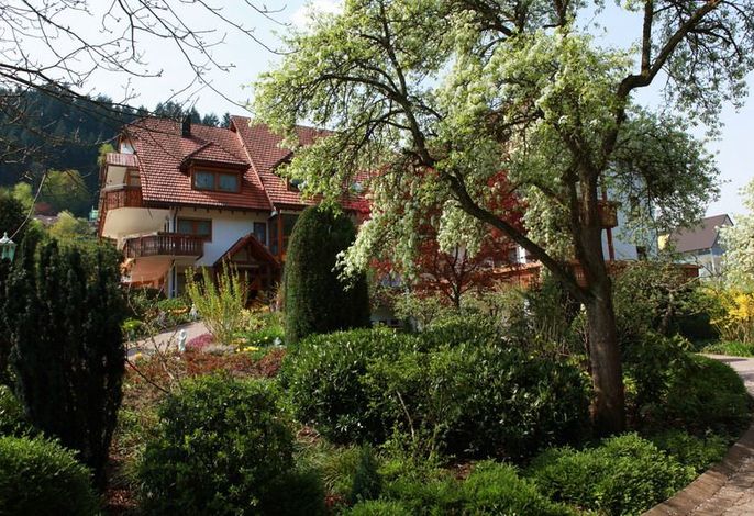 Bild 18