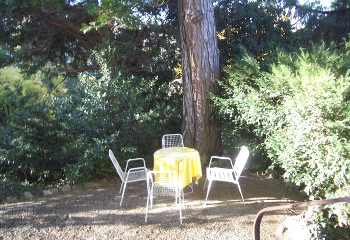 Bild 12