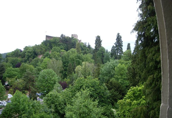 Bild 14