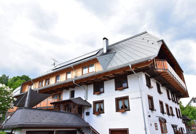 Bild 8