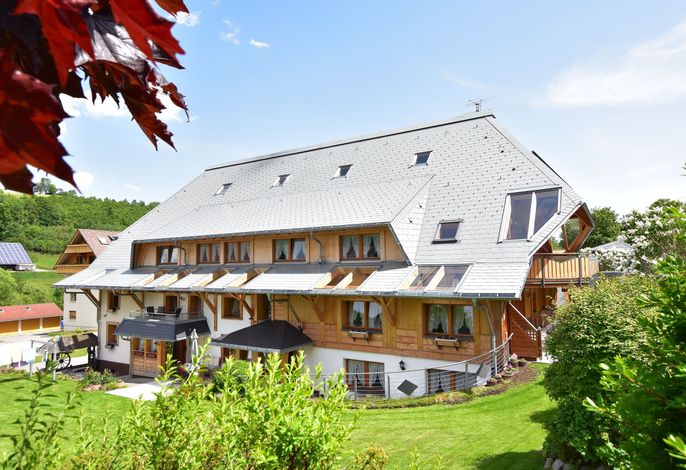 Bild 7