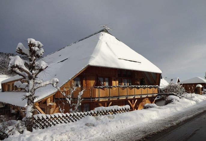 Bild 18