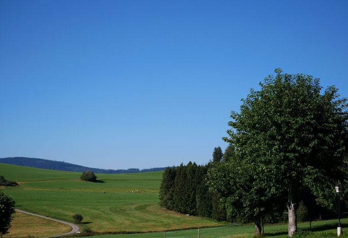 Bild 19
