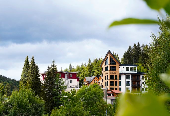 Waldhotel am Notschreipass