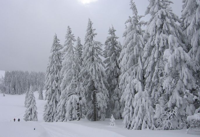 Bild 13