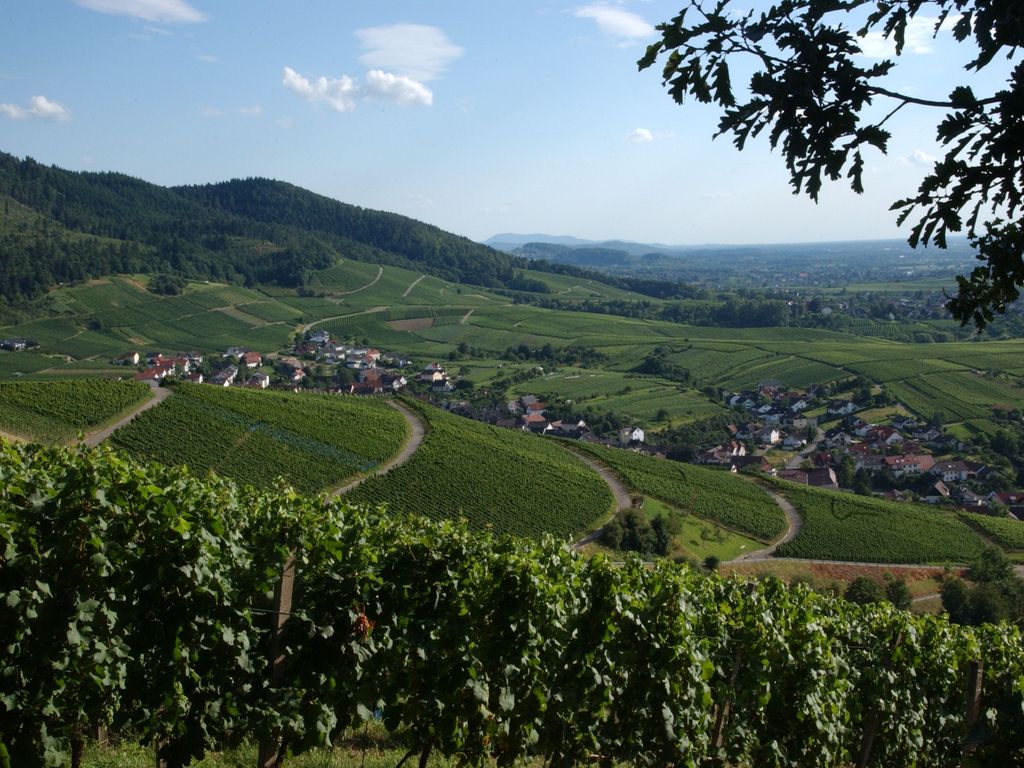 Weindorf Neuweier