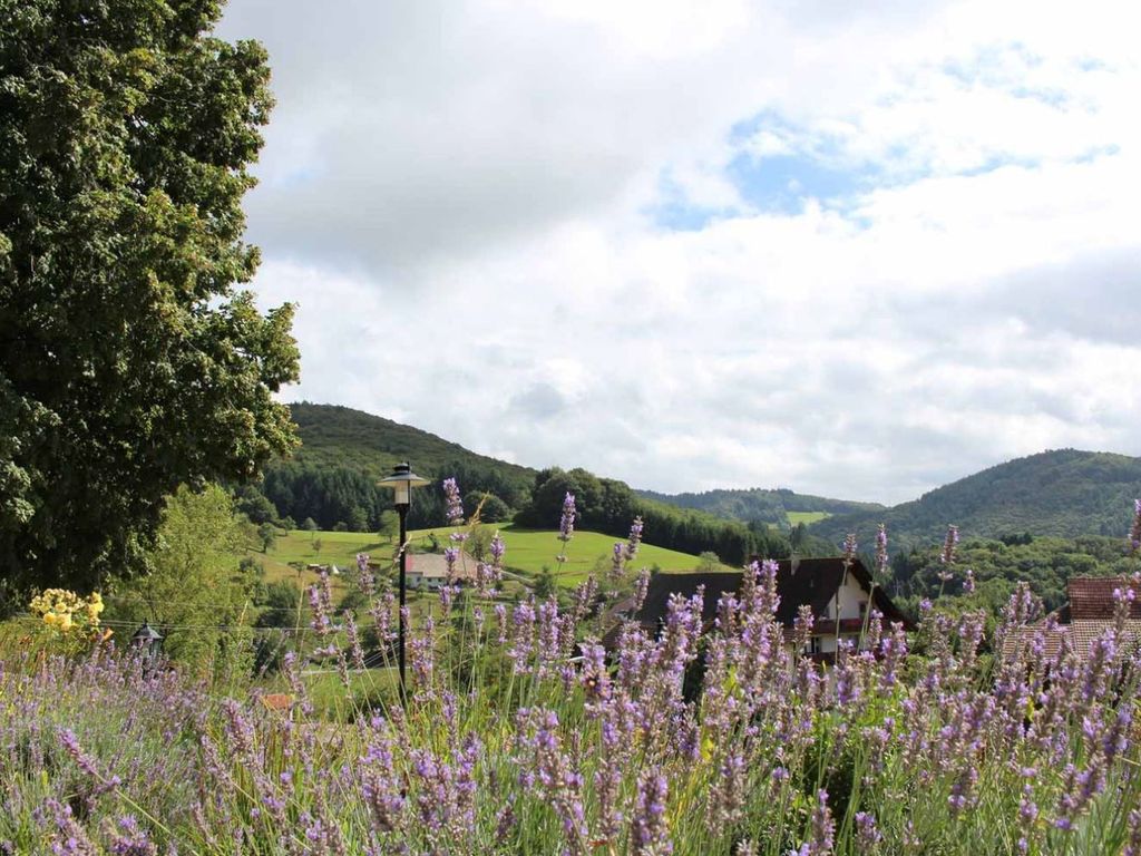 Hotel Landgasthof zum Pflug