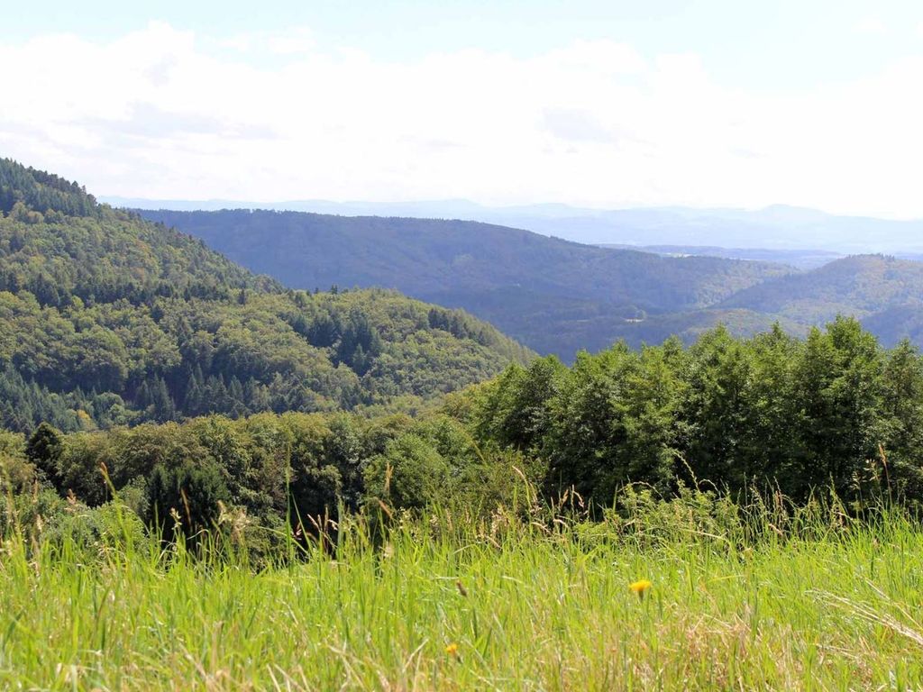 Hotel Landgasthof zum Pflug