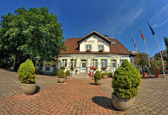 Bild 19