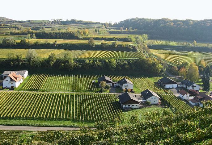 Bild 58