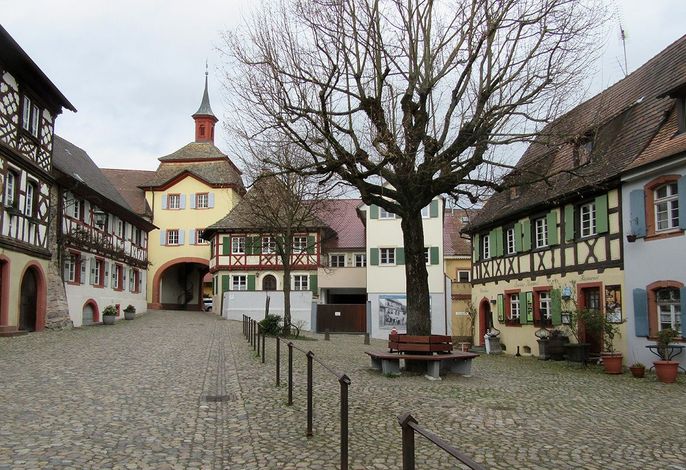 Bild 64