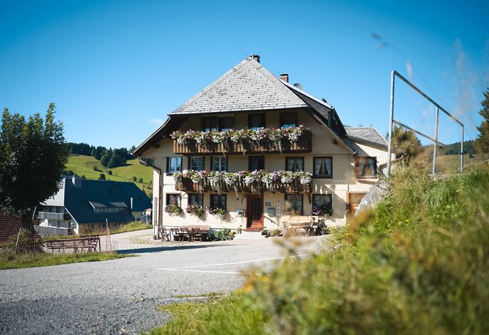 Bild 12