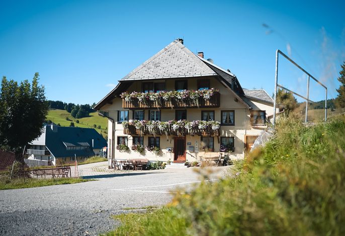 Bild 12