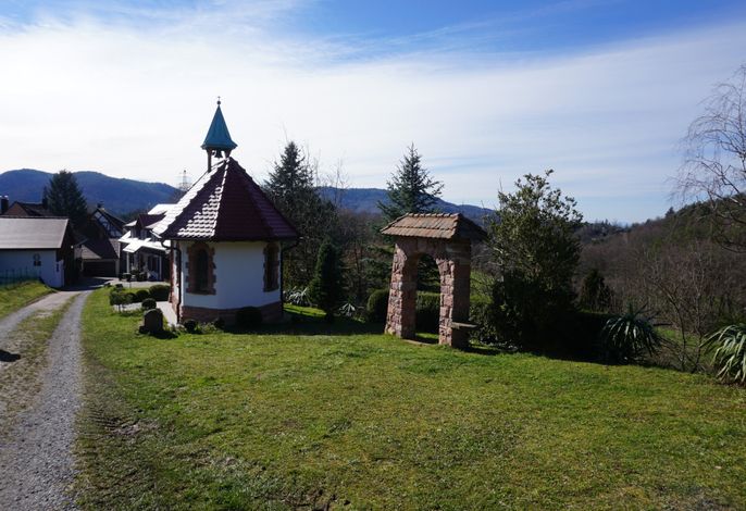 Bild 9