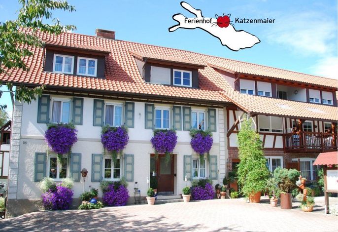Bild 7