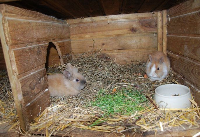 Bild 16