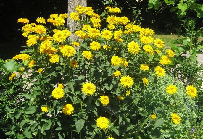 Bild 7