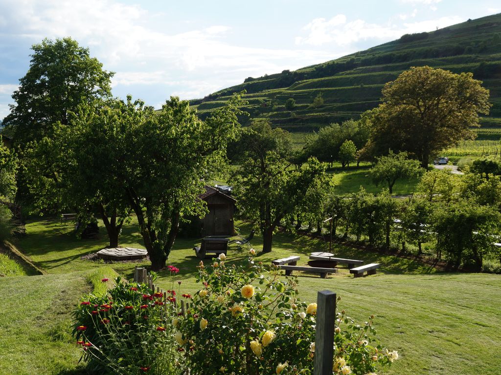 Garten mit Grillstelle