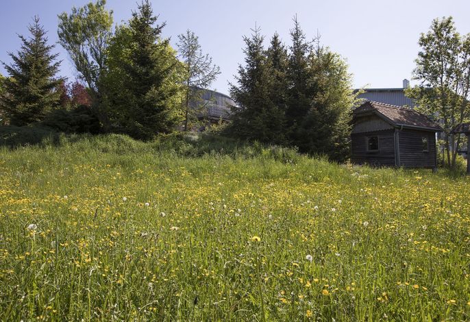 Bild 44