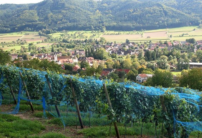 Bild 14
