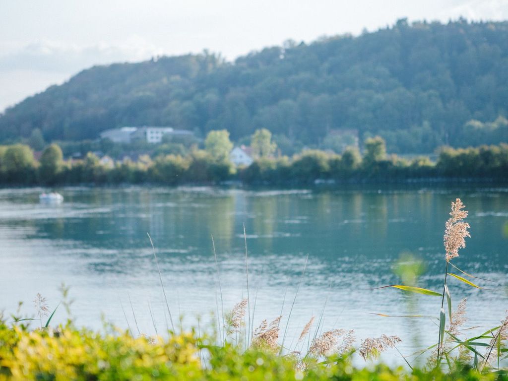 Rhein-Camping mit Gästezimmern