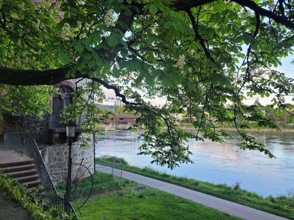 Schlosspark Rhein