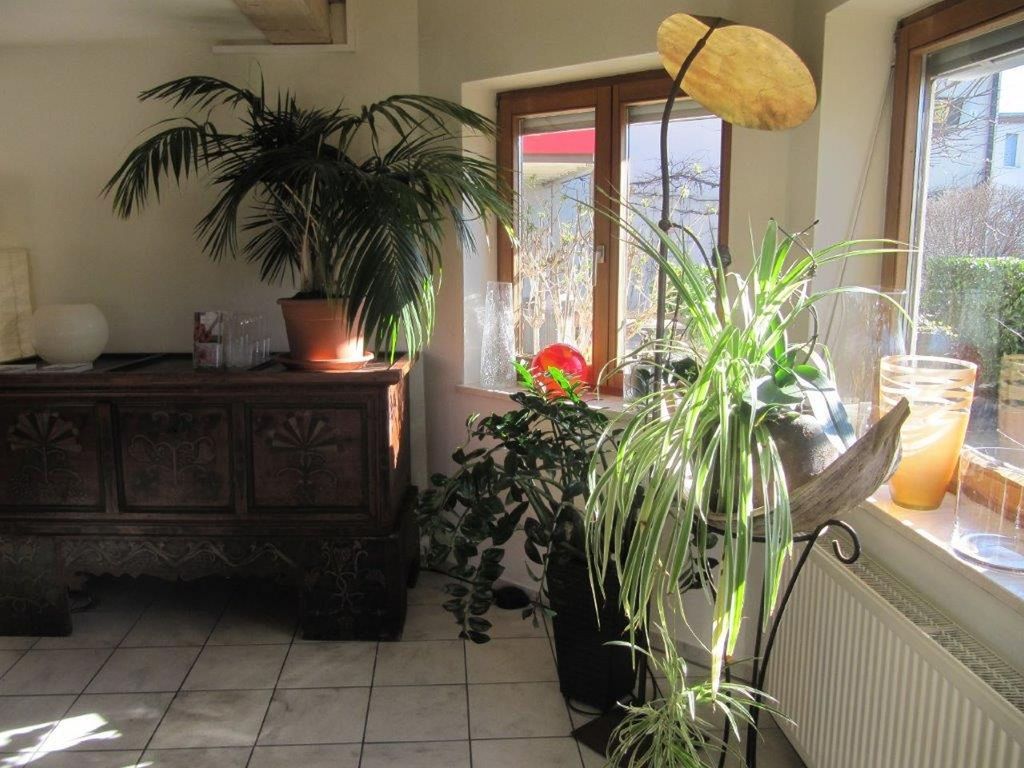 Pension Sonnengrund