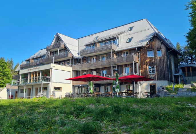 Bild 14