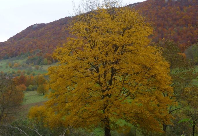 Bild 15