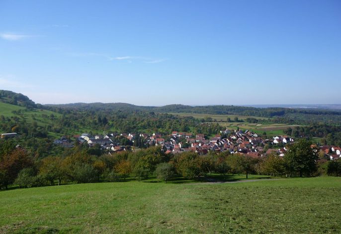 Bild 12