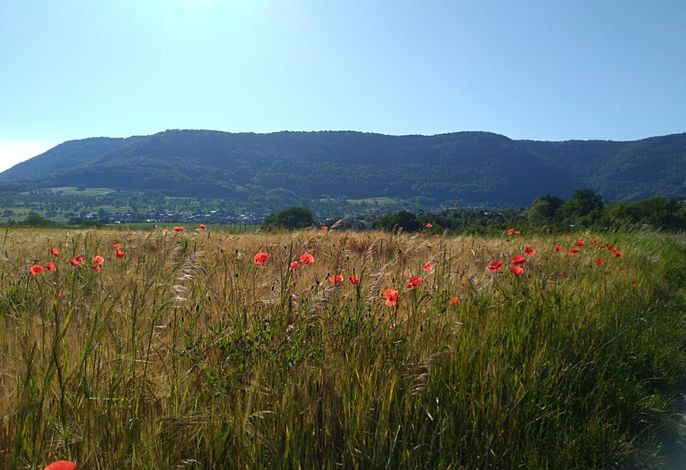 Bild 14