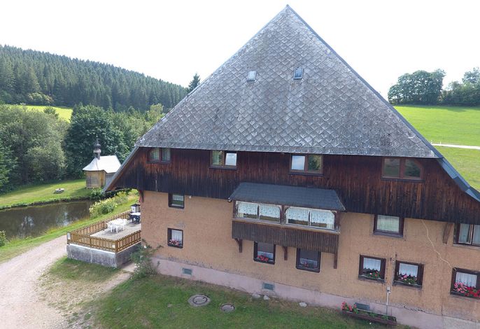 Bild 8
