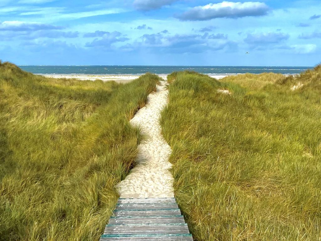 GUNDT Amrum