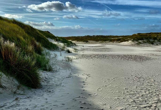GUNDT Amrum – Foto 3