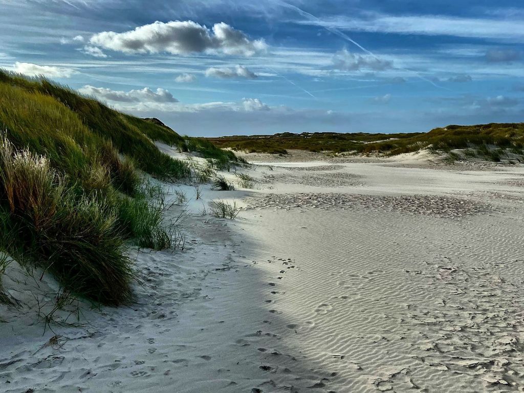 GUNDT Amrum