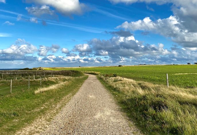 GUNDT Amrum – Foto 4