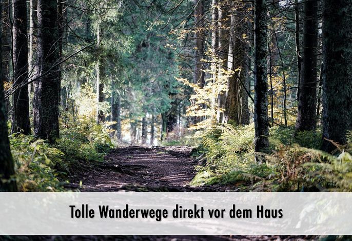 Bild 33