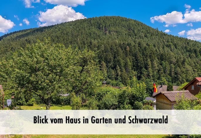 Bild 13